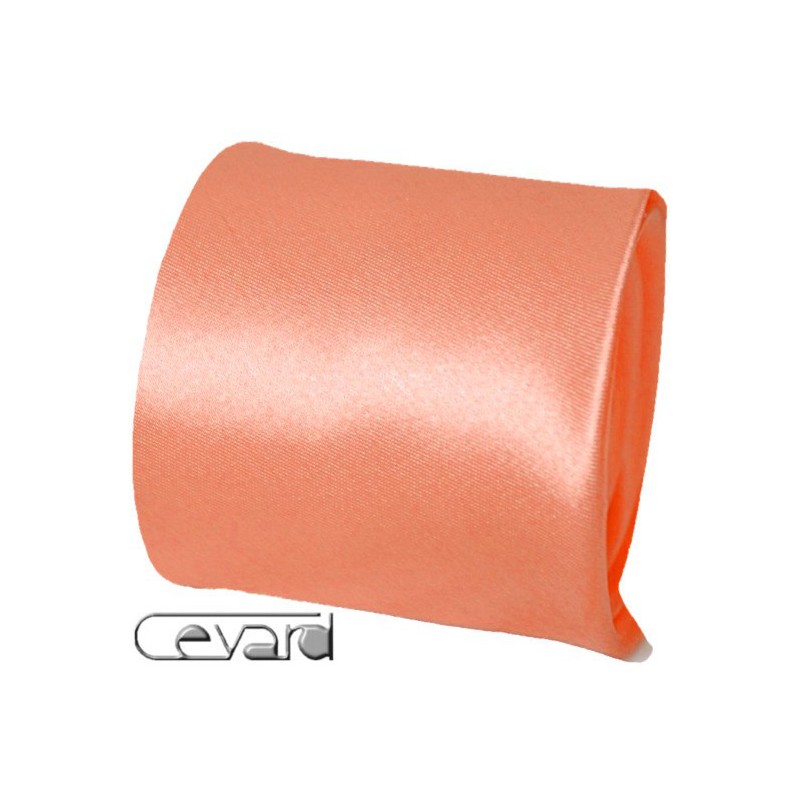 Lososová kravata s vreckovkou