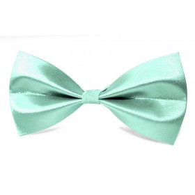 mentolovo zelený motýlik