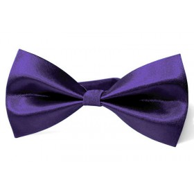 Tmavofialový motýlik tmavý