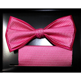 Sýtoružový motýlik štruktúrovaný s vreckovkou